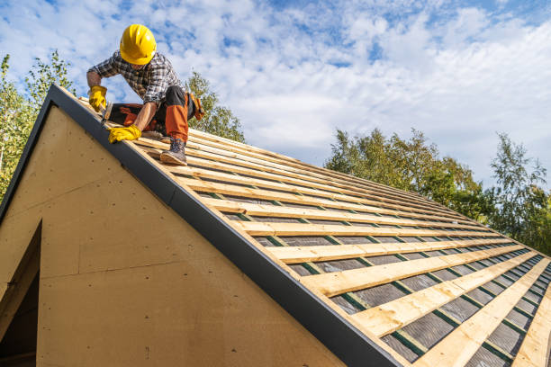 Roof Gutter Cleaning in Pittston, PA